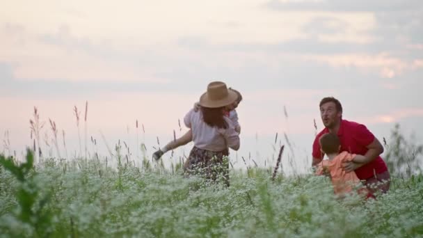 Šťastní Hraví Rodiče Hrát Dětmi Poli Při Západu Slunce Přijetí — Stock video