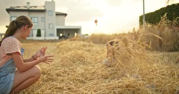 Две Счастливые Сестры Бросают Сено Поле Ферме Счастливое Детство Улыбками — стоковое видео