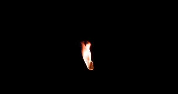 Abstracte Achtergrond Video Van Brandend Vuur Een Zwarte Achtergrond Vuur — Stockvideo