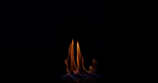 불꽃의 매혹적인 비디오 펼치고 어두운 배경에서 고품질 — 비디오