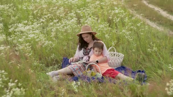 Więzi Rodzinne Mama Czyta Dzieciom Pięknym Polu Pielęgnowanie Uczenia Się — Wideo stockowe