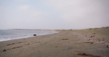 Bir sabah kumsalda koşan bir kız kumsalda okyanus boyunca koşar. Aktif spor kadın yaşam tarzı videosu. Yüksek kalite 4k görüntü