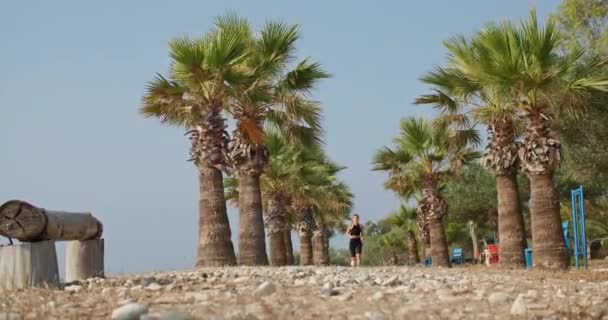 朝のスポーツウェアのライフスタイルガールは 海のエンバンクメントでヤシの木の下で走ります 女性は休憩と休暇で市内を走っている 高品質の4K映像 — ストック動画