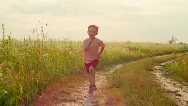 Повільний Спосіб Життя Відео Хлопчика Біжить Полю Сонця Концепція Свободи — стокове відео