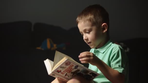 Biały Chłopiec Czyta Bajki Domu Dziecko Trzyma Książkę Rękach Studiuje — Wideo stockowe