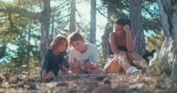 Bonne Famille Lors Une Promenade Dans Forêt Amusant Ensemble Une — Video
