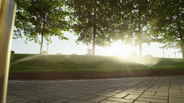 Güzel Fit Kilolu Bir Kadın Parkta Sabah Koşusu Yapıyor Kız — Stok video