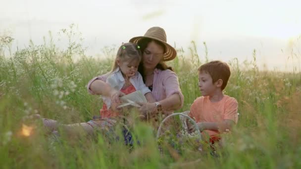 母は野原の草の上に座っている間 子供たちに本を読みます 新鮮な空気の中で親による子供の教育 家族の時間と親の愛の概念 高品質の4K映像 — ストック動画