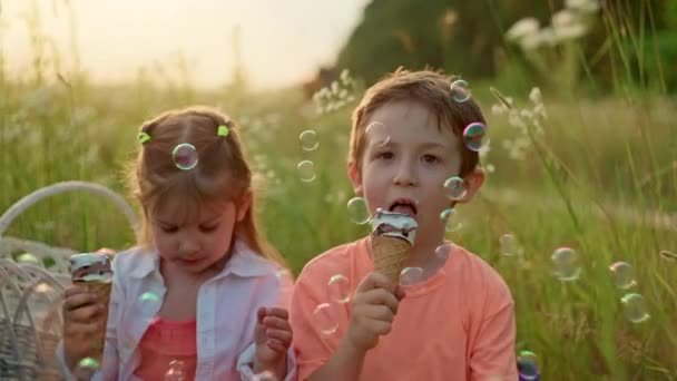 Uśmiechnięte Białe Dzieci Jedzące Lody Trawie Parku Koncepcja Letniego Szczęśliwego — Wideo stockowe