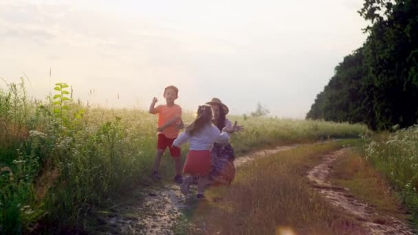 幸せな娘は母親の腕に向かって走る 子供と親は一緒にフィールドを歩く時間を過ごします 優しさ 自由という概念 高品質の4K映像 — ストック動画