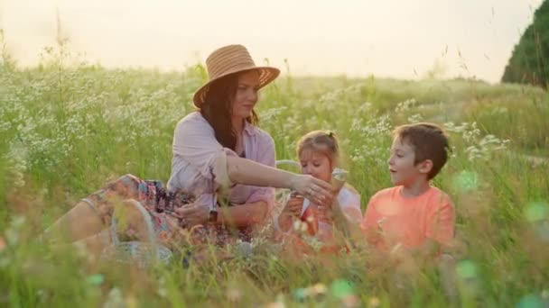 Live Mom Eating Ice Cream Picnic Field Sunset Happy Family — Stock Video