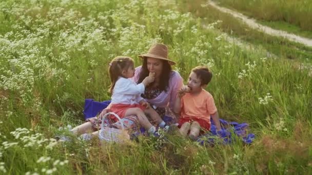 Пикник Счастливая Европейская Семья Наслаждается Мороженым Наслаждаясь Прелестями Семейного Счастья — стоковое видео