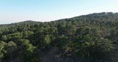 Kıbrıs 'ın Olimpos Dağı' ndaki güzel bir çam ormanının havadan görünüşü. Bir turist kasabasında ve antik mitolojide güzel bir dağ manzarası. Yüksek kalite 4k görüntü