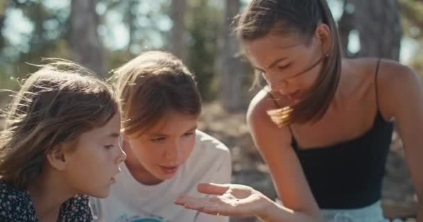 Matka Trzyma Biedronkę Rękach Pokazuje Córkom Koncepcja Ochrony Przyrody Środowiska — Wideo stockowe