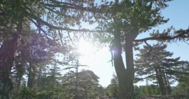 Kuşların Gözü Fevkalade: Kıbrıs 'ı Sarsan ve Olimpos Dağı Tanrıların ve Doğal Büyüklükler Diyarı' nı Keşfediyor. Yüksek kalite 4k görüntü