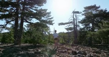 Olimpos Dağı 'nın havadan görünüşü. Bir turist kız dağın tepesindeki bir çam ormanında yürüyor. Yunan mitolojisi ve turizm merkezi. Yüksek kalite 4k görüntü