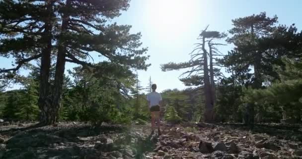 Vue Aérienne Mont Olympe Une Touriste Promène Dans Une Pinède — Video