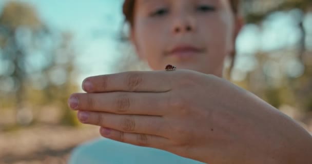 Doğadaki Masum Güzellik Uğurböceği Tutan Bir Kızın Büyüleyici Yakın Çekimi — Stok video