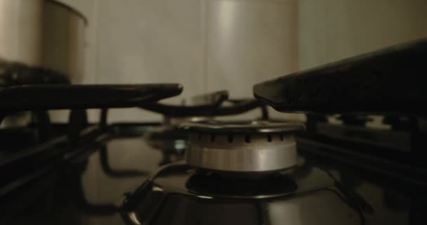 Yapımı Gastronomik Zevkler Gaz Fırını Ateşleme Mutfak Büyüsünün Detaylı Keşfi — Stok video