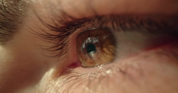 Dişi Kahverengi Gözlerin Arka Plan Görüntüsü Yüksek Kalite Görüntü — Stok video