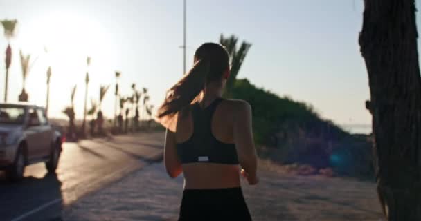 Αναζωογονητικό Sunrise Run Αθλητικά Θηλυκά Ενεργός Τρόπος Ζωής Επιδεικνύεται Μέσα — Αρχείο Βίντεο