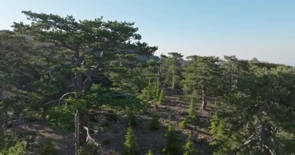 Hava Harikaları Kıbrıs Olimpos Dağı Antik Efsanelerin Görkemli Manzaralarla Buluştuğu — Stok video