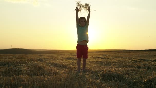 Embracing Bliss Youth Radiant Kid Delightedly Throwing Hay Sunlit Wheat — Stock Video