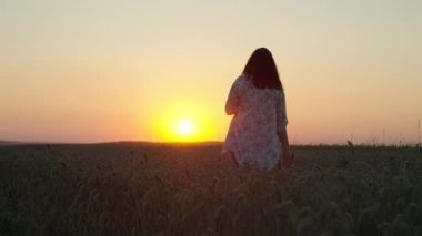 Güzel bir kadın gün batımında bir buğday tarlasında yürüyor. Güneş ışığında romantizm kavramı, doğada şefkat. Yüksek kalite 4k görüntü