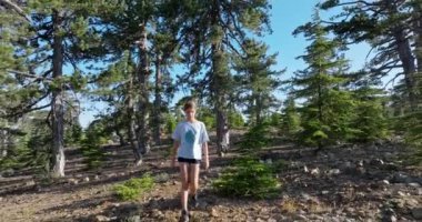 Kıbrıs 'ın Olimpos Dağı' ndaki güzel bir çam ormanının havadan görünüşü. Bir kız köhne mitolojik bir antik şehirde güzel bir çam ormanında yürüyor. Yüksek kalite 4k görüntü