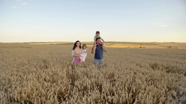 Семья Фермеров Детьми Ходит Пшеничному Полю Родители Показывают Детям Растут — стоковое видео