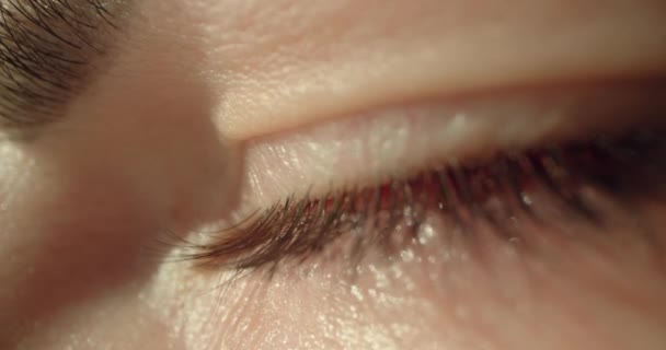 Kahverengi Gözlerini Açan Bir Kadının Süper Makro Görüntüsü Yavaş Çekim — Stok video