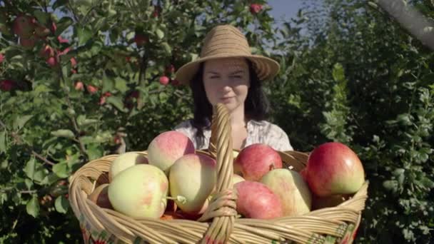 Portret Białej Kobiety Ogrodnika Trzymającej Koszyk Zbiorami Jabłek Ogrodzie Zbieranie — Wideo stockowe