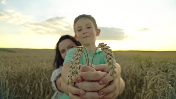 Wheatland Symphony Heartwarming Scene Mother Son Tending Crops Cherished Family — Vídeo de Stock