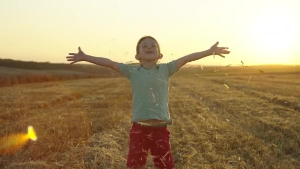 Symphony Laughter Nature Happy Child Engaged Hay Tossing Adventure Heart — Vídeo de Stock