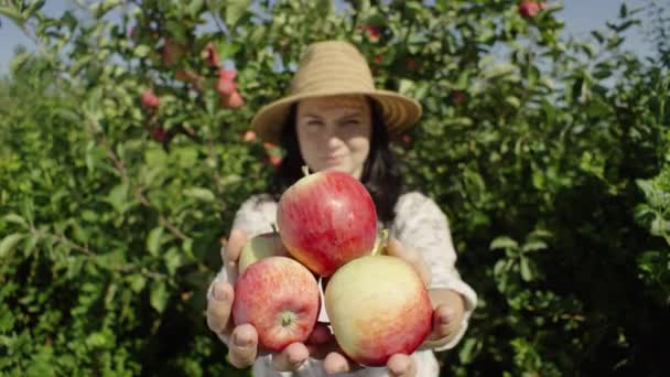 一个面带微笑的白人女人手里拿着苹果的画像 一个园丁在农场收获水果 高质量的4K镜头 — 图库视频影像
