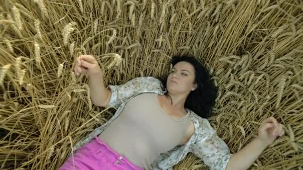 小麦のささやき 農業風景の小麦畑に残っているロマンチックな女性 高品質の4K映像 — ストック動画
