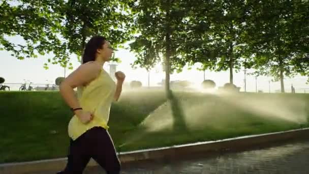 公園で朝のジョギングをする太りすぎの女の子 美しい女性は 都市の日の出に太陽の光線で実行し 水で草を水に浸し アクティブなスポーツ ダイエット 過剰な体重で戦います — ストック動画