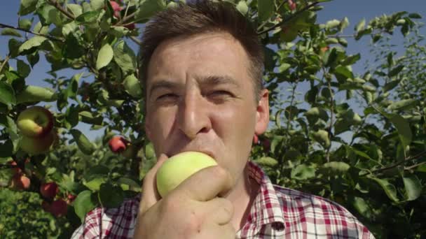 Porträt Eines Kaukasiers Der Garten Einen Apfel Beißt Ernte Köstlicher — Stockvideo