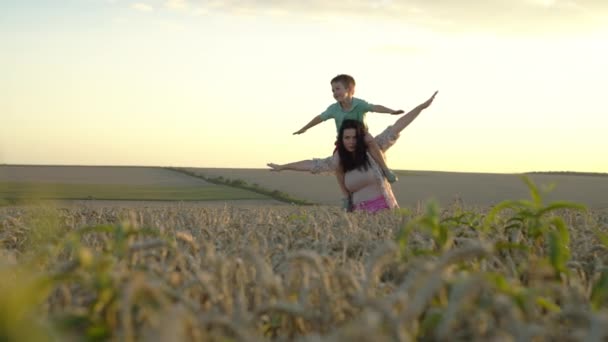 母と息子は小麦畑の上の飛行機のように折られた腕で飛ぶ 幸せな子供時代 村の農場に対する親の愛 高品質の4K映像 — ストック動画
