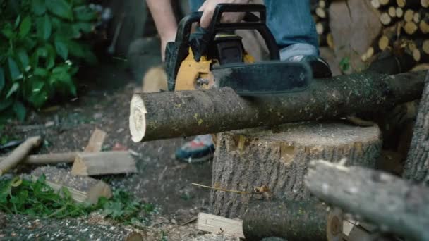 Close Lumberjack Cutting Branch Chainsaw Harvesting Logs Chopping Farm High — Stock Video