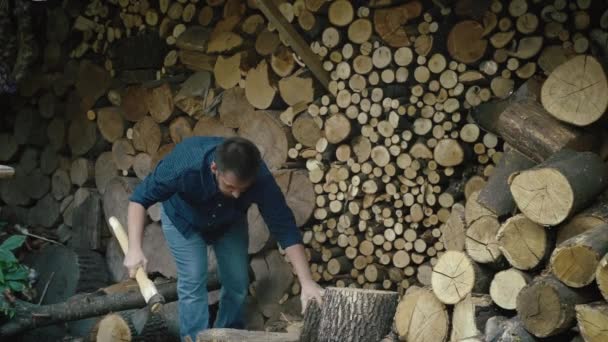 Winter Warmth Prep Guy Laboring Gather Firewood Farmhouse Fireplace High — Stock Video