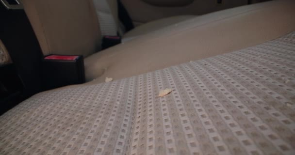 Handyman vacuuming car front textile seat with vacuum cleaner. man