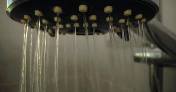 バスルームのシャワーから注ぐ水のクローズアップ シャワーと人間の衛生状態で入浴する 高品質の4K映像 — ストック動画