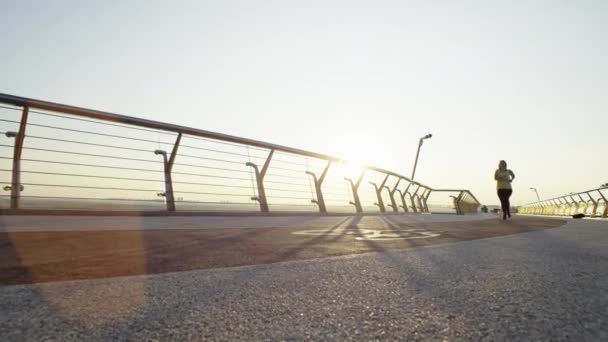 Running Confidence Urban Sunrise Jogging Ervaring Van Een Bochtige Vrouw — Stockvideo