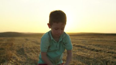 Saf Çocukluk Sevincini Yakalamak: Heyecanlı Genç Çocuk Altın Buğday Tarlaları Arasındaki Havaya Saman Fırlatıyor. Yüksek kalite 4k görüntü