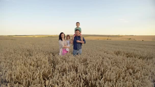 Rodzina Rolników Polu Pszenicy Obserwująca Zbiory Uprawy Zbóż Polach Rolnych — Wideo stockowe