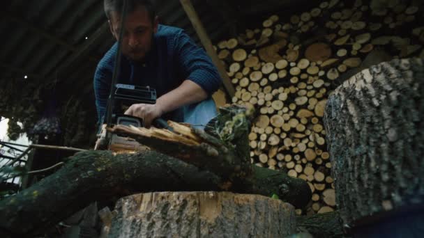 一个家伙在自家院子里用链锯砍树 一个人捡柴火 高质量的4K镜头 — 图库视频影像
