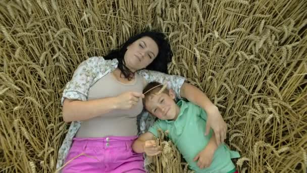 Bonds Happiness Mother Son Lay Amidst Wheat Stalks Agricultural Field — Stock Video