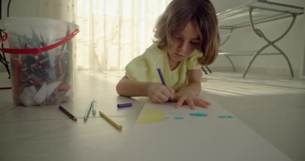Odblokowanie Kreatywności Postępuj Zgodnie Serdeczną Opowieścią Przedszkolaków Pasja Kolorowego Artyzmu — Wideo stockowe