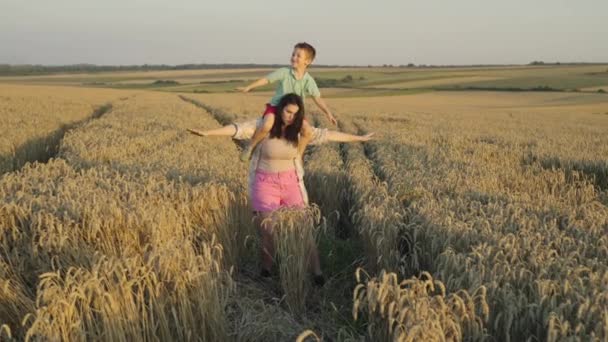 母と息子は一緒に小麦油で馬鹿にした 幸せな家族 親の愛 農場での子供時代 農業分野で穀物を栽培しています 高品質の4K映像 — ストック動画